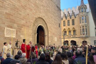 Thumbnail for the post titled: Diumenge de rams, inici de la Setmana Santa
